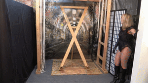 super-becca.com - Black Cardinal Net Trap thumbnail